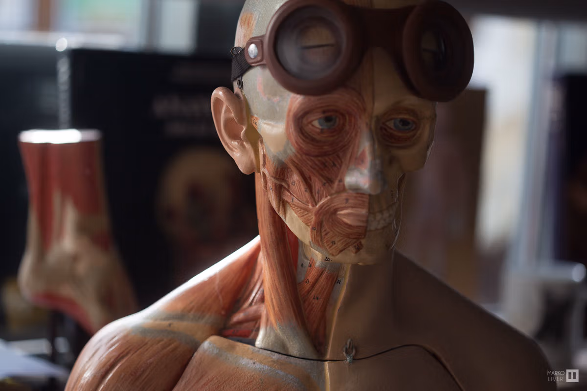 Mannequin anatomique coiffé de lunettes steampunk dans un atelier d'artiste du Qu4tre, détail cabinet de curiosités, Argenteuil